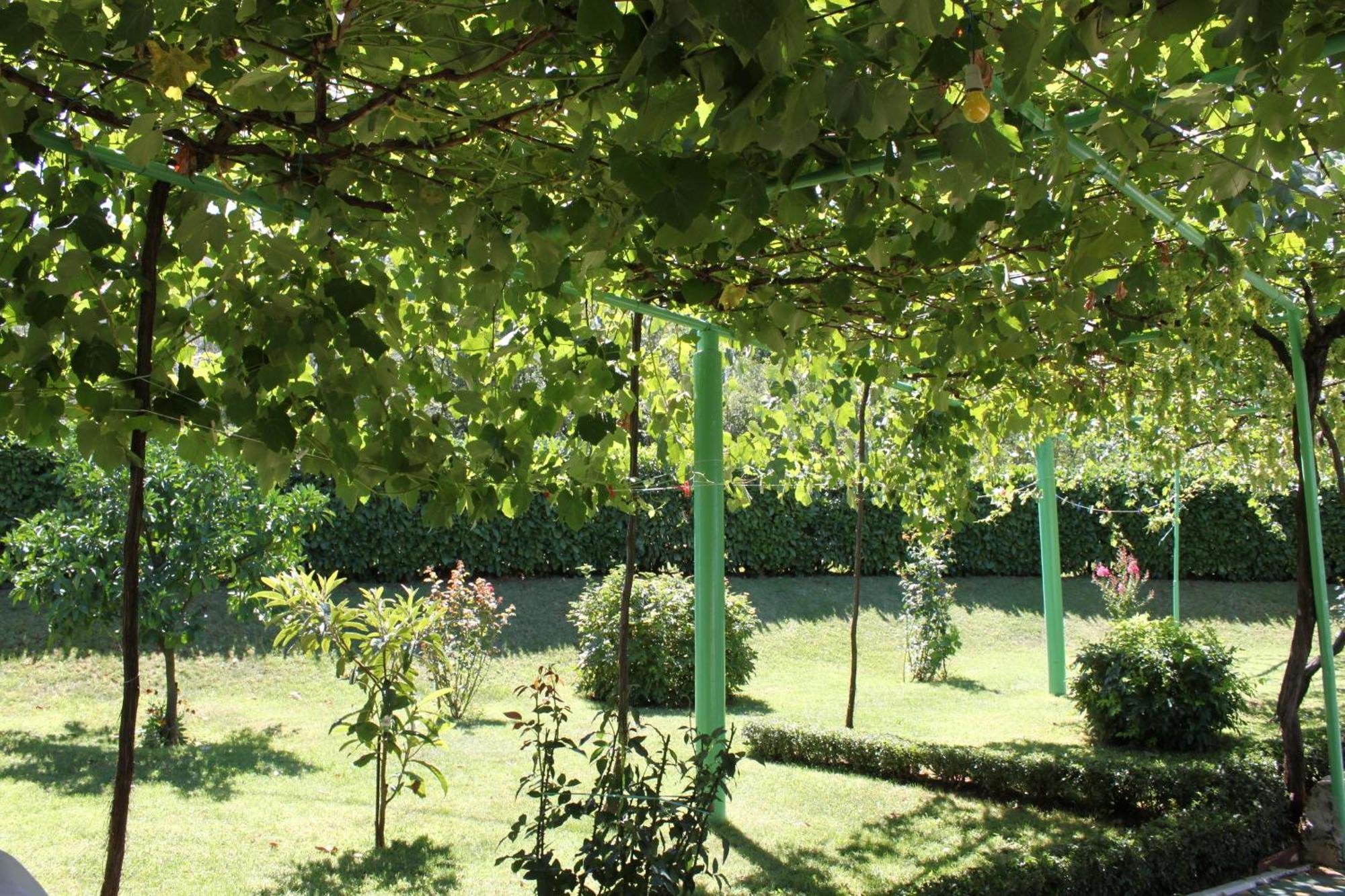 Pansion Pero Elez Medjugorje Hotel Ngoại thất bức ảnh